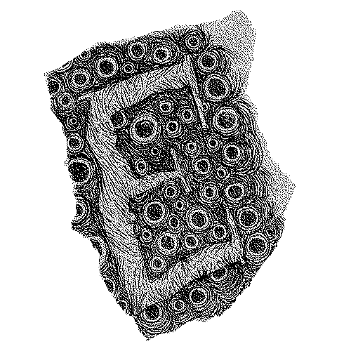 36daysoftype2019